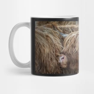 'Highland Cow Detail', near Kinloch Rannoch. Mug